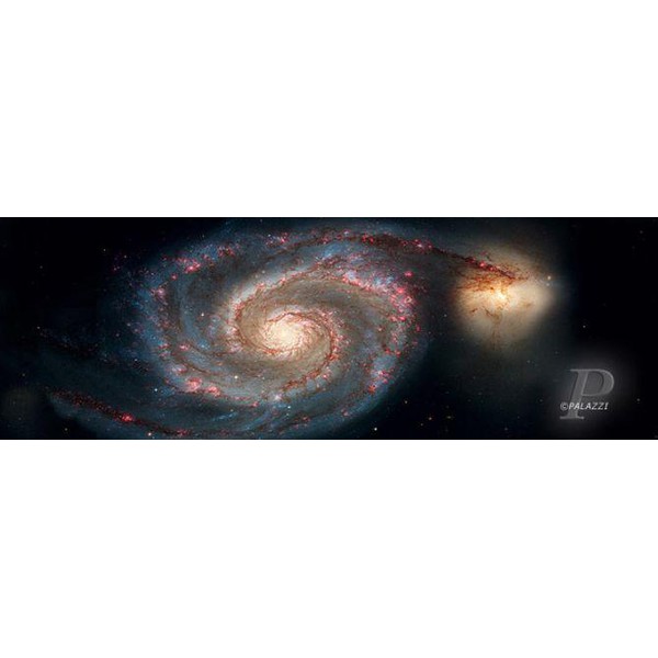 Palazzi Verlag Poster Draaikolknevel