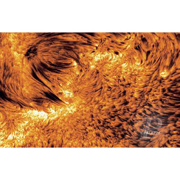 Palazzi Verlag Poster Active Sun Leinwandprint