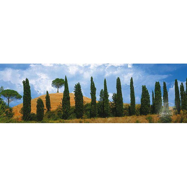 Palazzi Verlag Poster Val Dórica Tuscany Leinwandprint