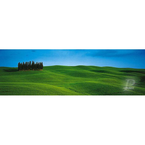 Palazzi Verlag Poster Groepje bomen in Toscane