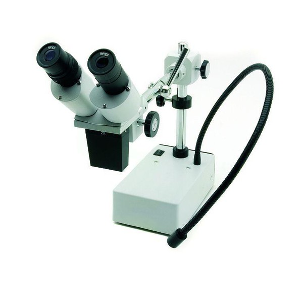 Windaus Stereomikroskop HPS 50, mit LED Schwanenhalslichtleiter
