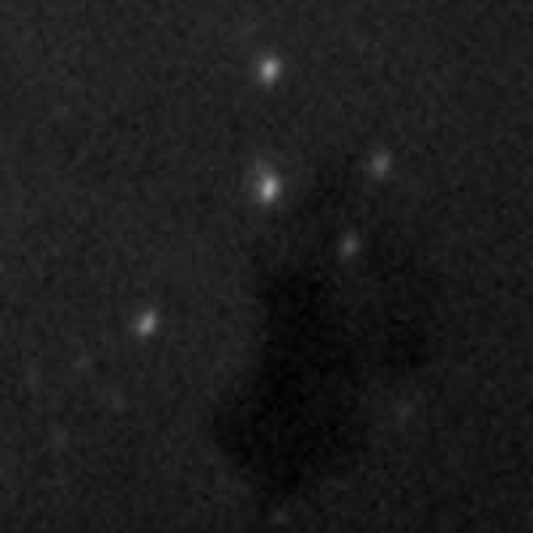 Orion SteadyStar Adaptiver Optischer Guider (großes Format)