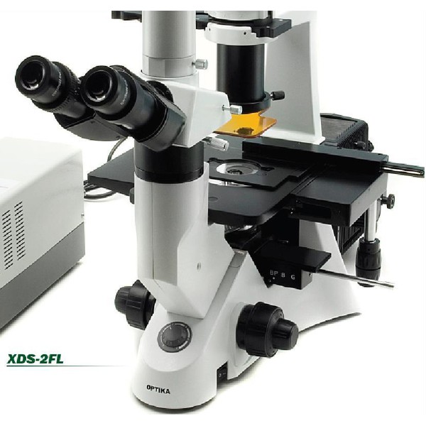 Optika Omgekeerde microscoop XDS-2FL, trinoculair, omgekeerd, fluorescentie