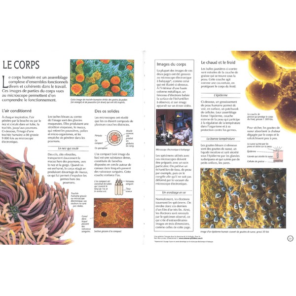 Edition Usborne Le Monde Microscopique (Frans)