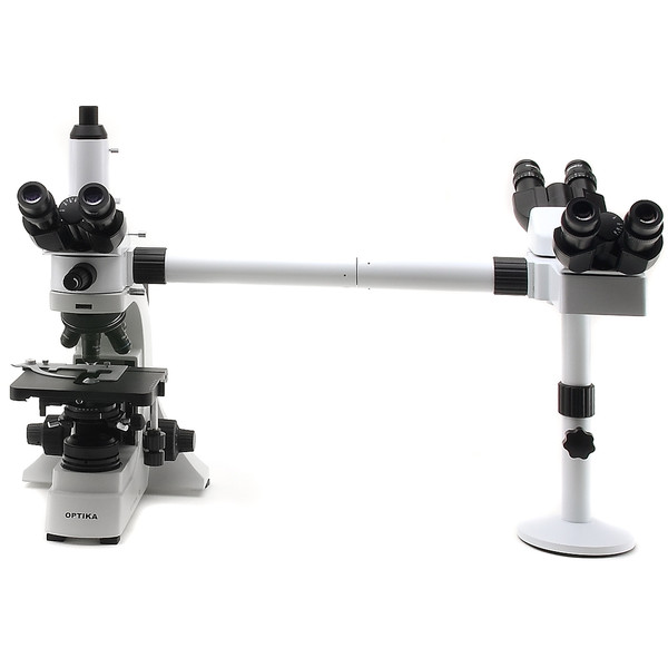 Optika B-500Ti-3, discussiemicroscoop, 3 koppen, trinoculair, 1000x, LED