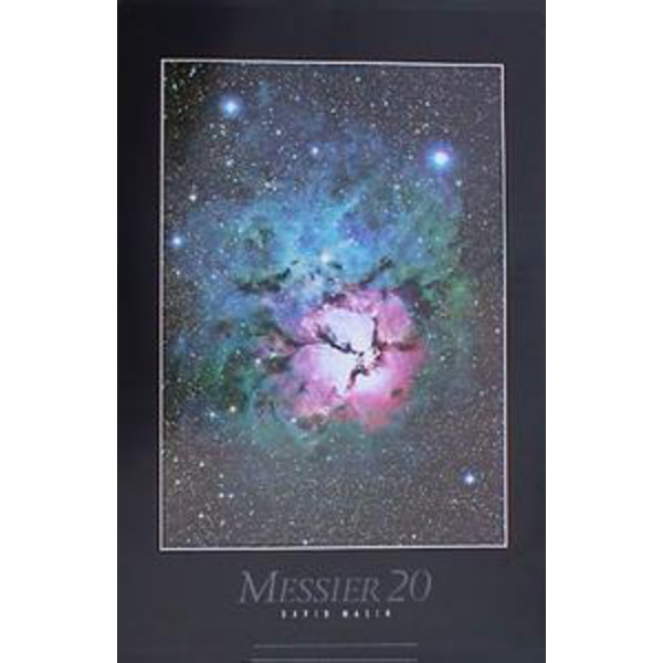 Poster Nebula M 20 door David Malin