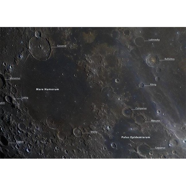 Oculum Verlag Poster De Maan