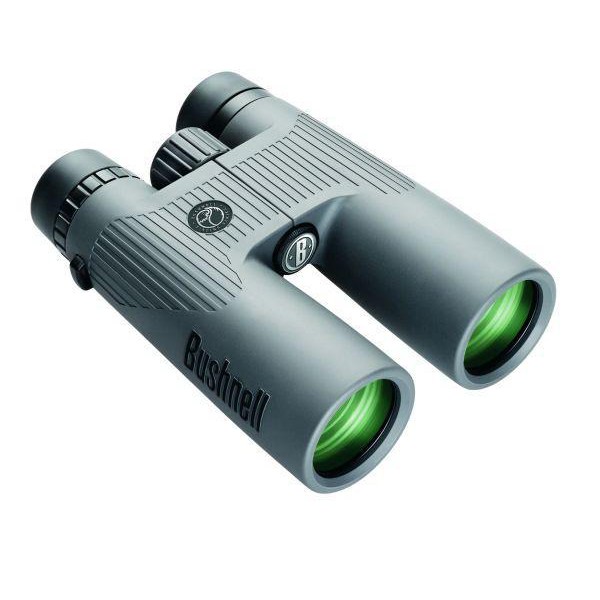 Bushnell Fernglas NatureView 10x42, Dachkant