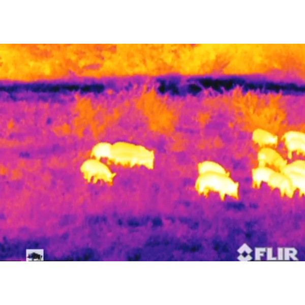 Armasight Warmtebeeldcamera Helios 336HD 5-20x75 (9Hz)