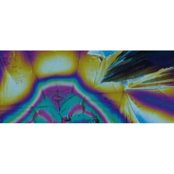 Motic Microscoop BA310E, bino, oneindig, EC-plan, achro, 40x - 400x, Halo