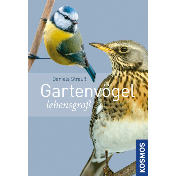 Kosmos Verlag Gartenvögel lebensgroß (Duits)