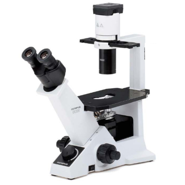 Evident Olympus Omgekeerde microscoop CKX31 fase, bino, Hal, 40x, 100x, 200x, 400x