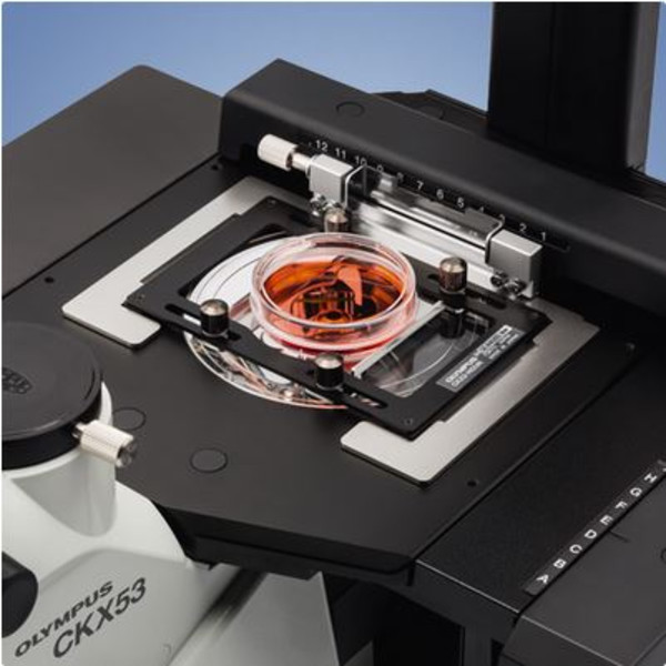 Evident Olympus Omgekeerde microscoop Olympus CKX53 IPC/IVC V1, PH, trino, infinity, achro, 10x, 20x, 40x, LED