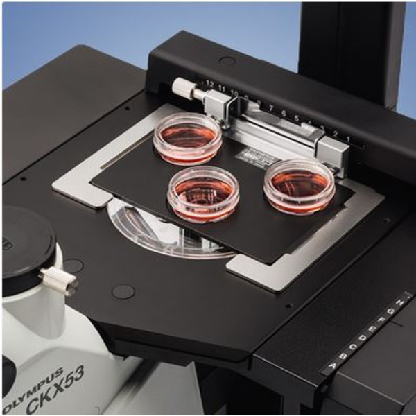 Evident Olympus Omgekeerde microscoop Olympus CKX53 Hellfeld V2, trino, infinity, plan, achro, 2x, 4x, 10x, LED