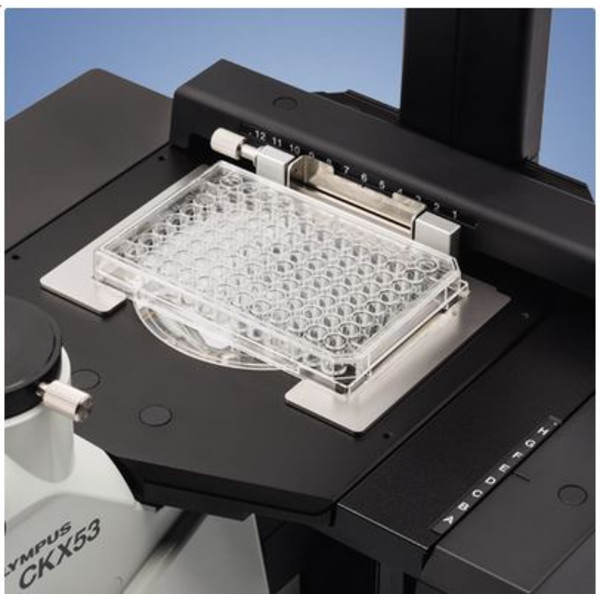 Evident Olympus Omgekeerde microscoop CKX53, trinoculair, 100x, 200x, 400x, IPC/IVC x/y-tafel