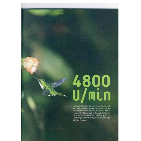 DJW Verlag Gids: Waarneming