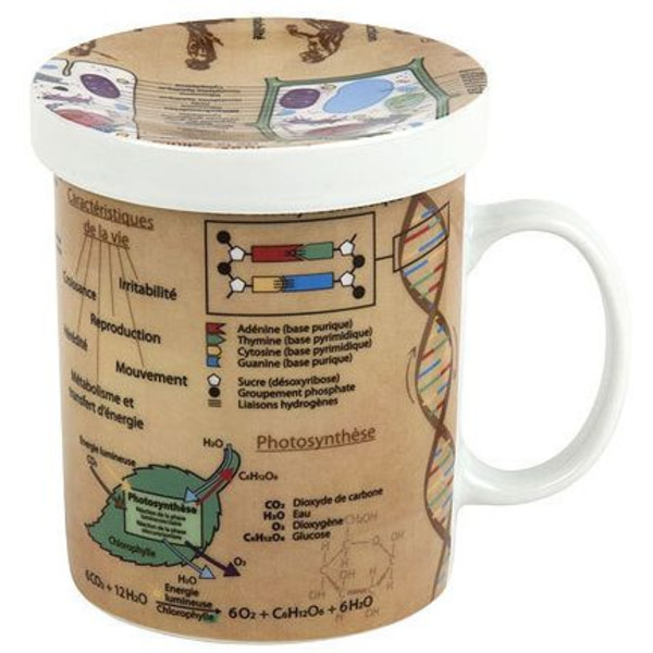 Könitz Beker Tasses Sciences de buveur de thè Biologie