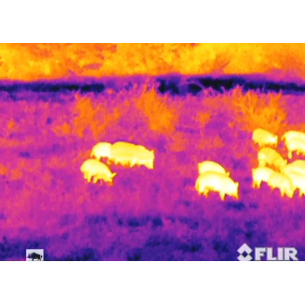 Armasight Warmtebeeldcamera Command 336, 3-12x50 (60 Hz)