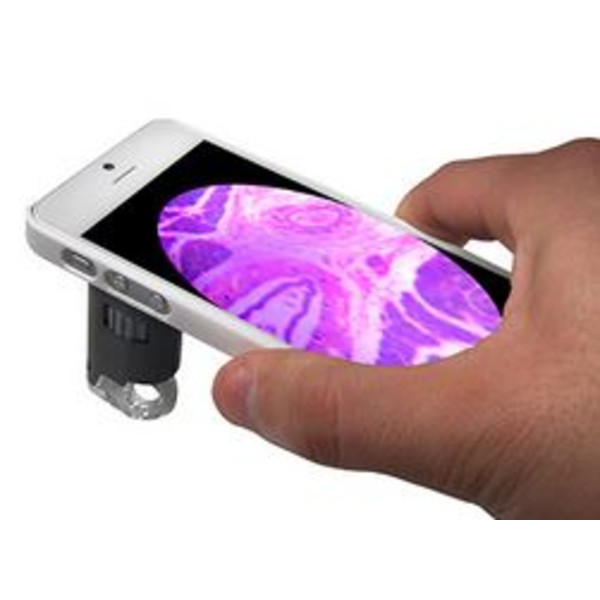 Carson MM-255 smartphonemicroscoop, iPhone 5 adapter