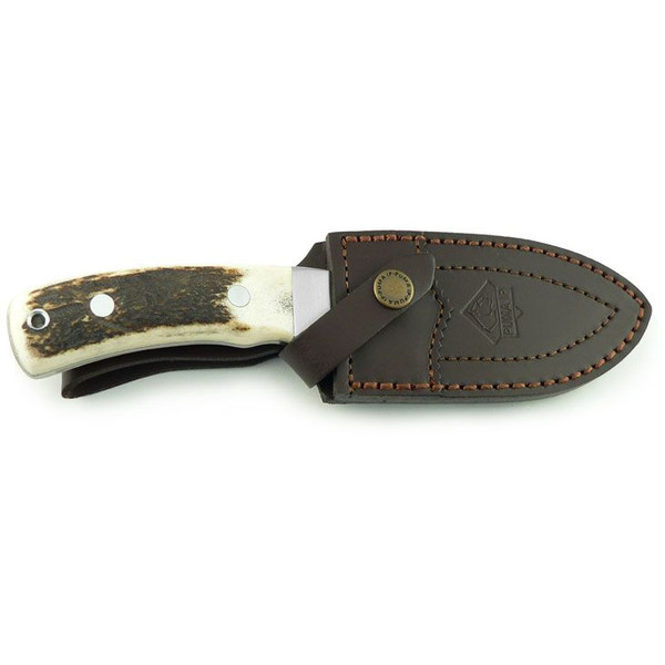 Minox Verrekijkers BL 8x56 HD Wild zwijn set
