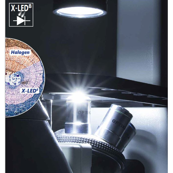 Optika microscoop IM-3FL4-UK, trino, omgekeerd, FL-HBO, B&G filter, IOS LWD U-PLAN F, 100x-400x, UK