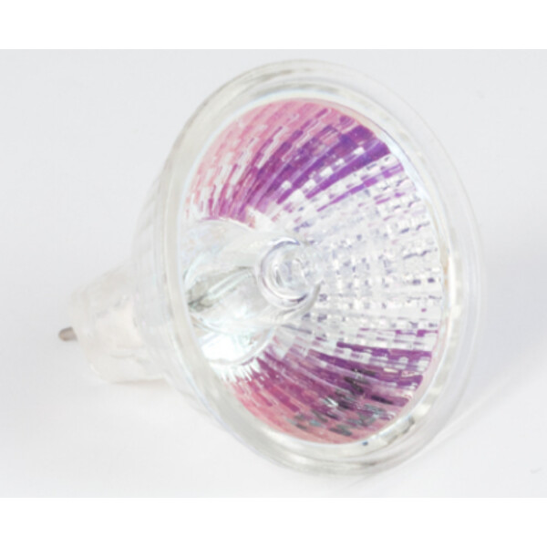 Motic Halogeenlamp, vervanging, 21V/20W, doorvallend licht, voor R2GG-statief (SMZ-161)