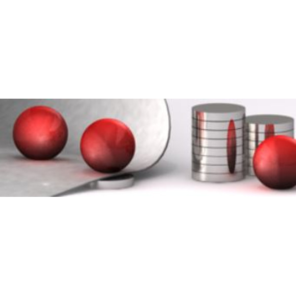 Bacher Verlag Neoballs magnetische ballenset 54 stuks rood