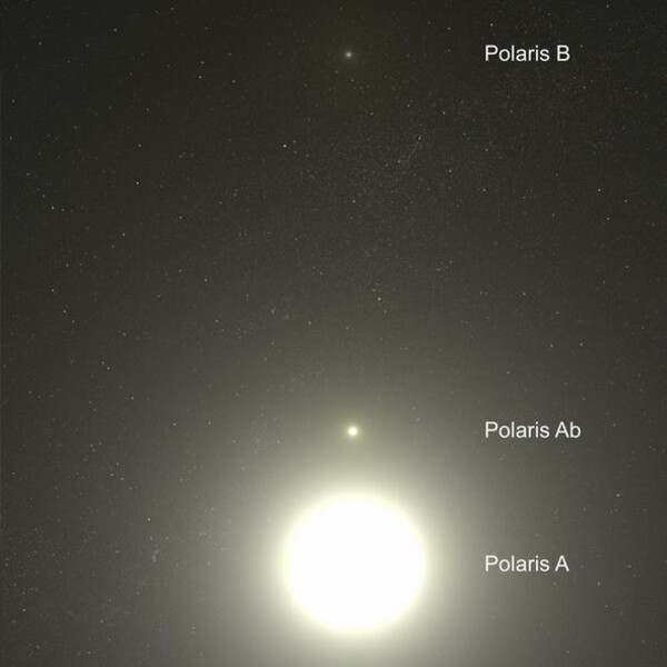 Celestial Buddies Polaris Ab en Polaris B