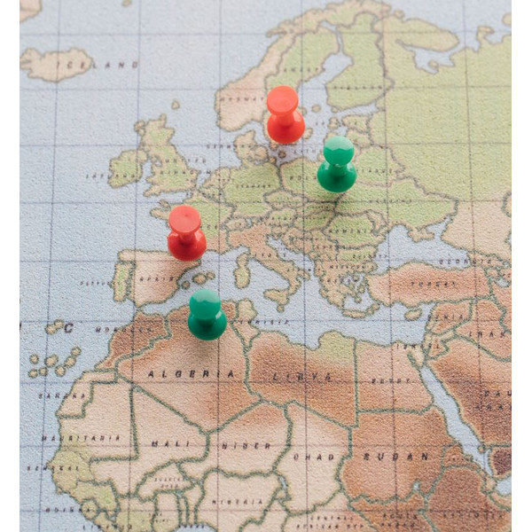 Miss Wood Wereldkaart Boskaart Aquarel Fysiek XL