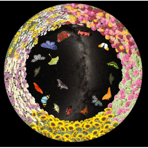 astrial Dia voor het Sega Homestar Planetarium Bloemen en Vlinders