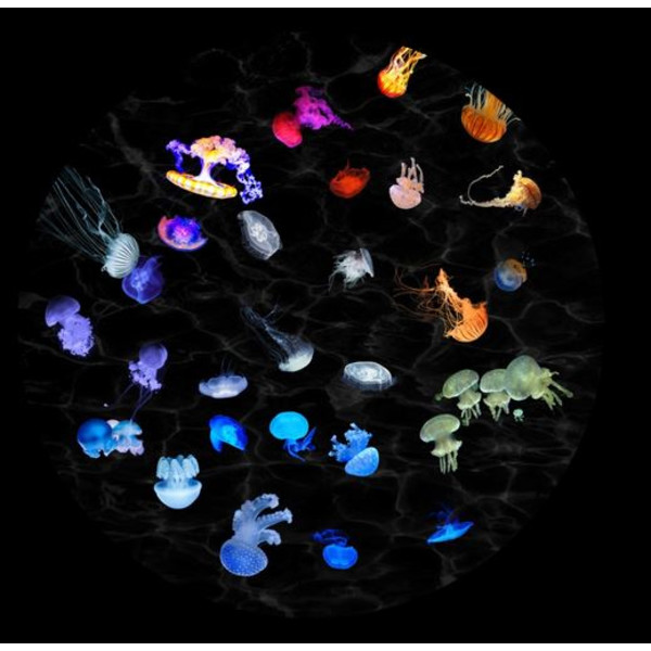 astrial Dia voor de Sega Homestar Planetarium Jellyfish
