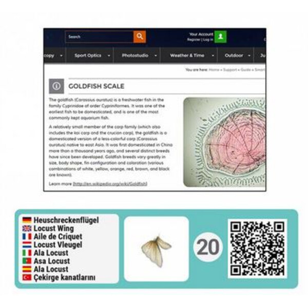 Bresser Junior Slimme Microscopie accessoireset met QR-codes