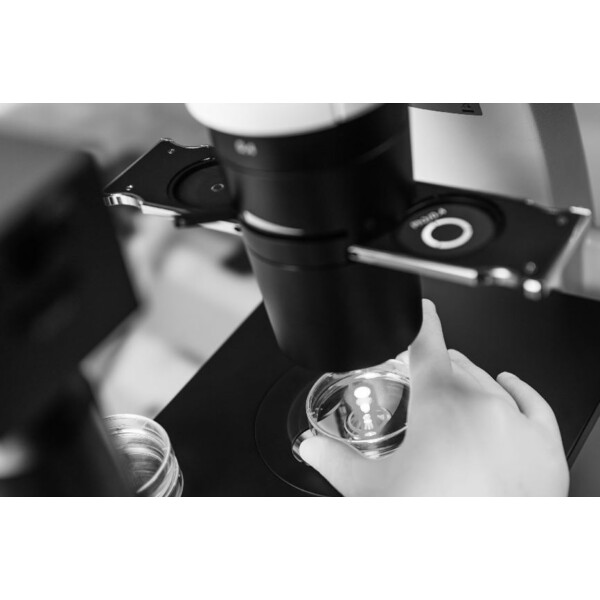 ZEISS Omgekeerde microscoop Primovert trino PH1, 40x-400x