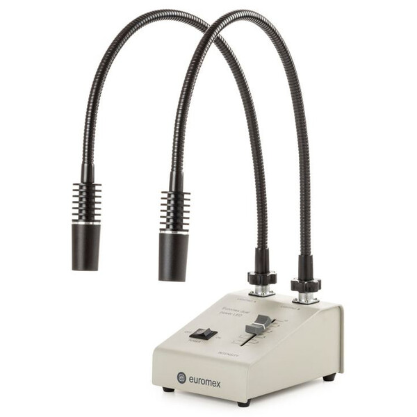Euromex lichtbron LE.5207, met 2 zwanenhals lichtgeleiders 2x3W, 6500K