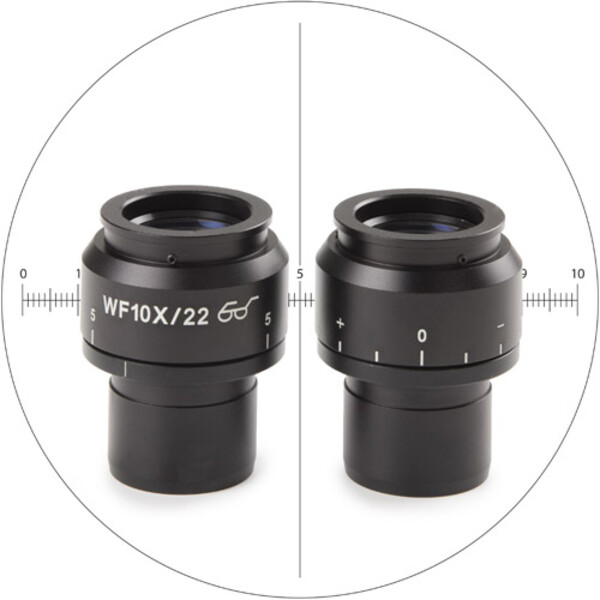 Euromex Oculair meten NZ.6210-CM, 10x/22 mm SWF, micrometer, dradenkruis, (Nexius EVO)
