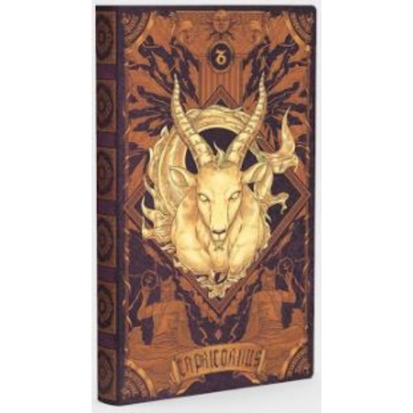 AstroReality Dierenriem notitieboek - Steenbok