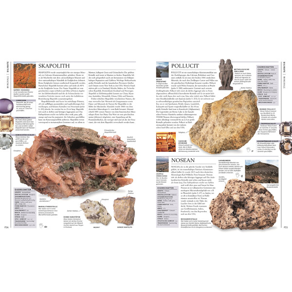 Dorling Kindersley Steiner & Mineralen