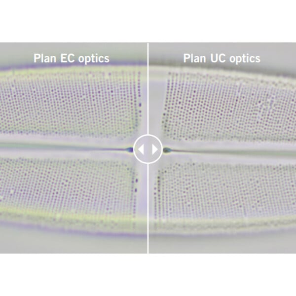 Motic Microscoop Panthera E2, trinoculair, HF, INFINITY, plan achro., 40x-1000x, vast Koehl.LED