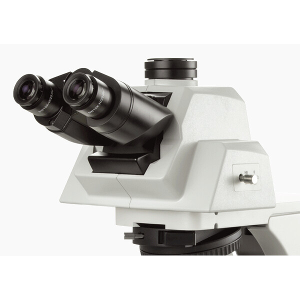 Euromex Microscoop Delphi-X, DX.2158-APLi, trino, 40x - 1000x, Plan semi-apochromat., mit ergonom. Kopf u.100W Halogen-Beleuchtung