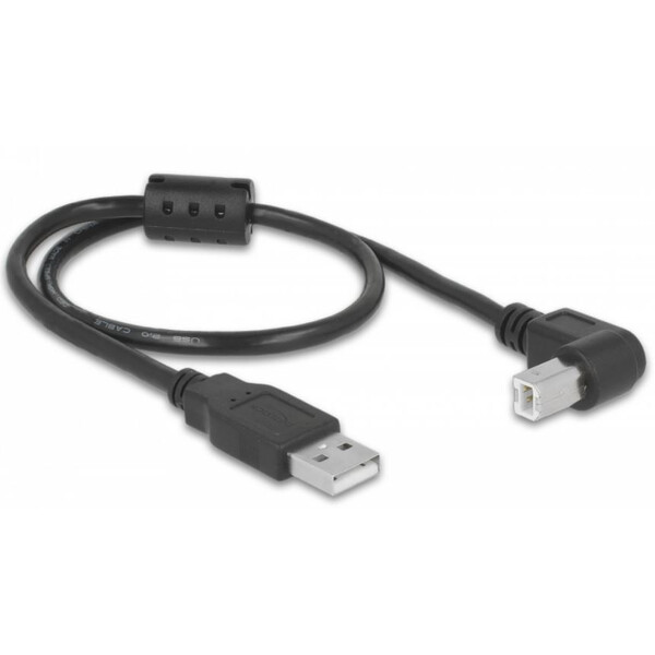 PegasusAstro USB kabelset 2x USB2.0 Type-B 50cm