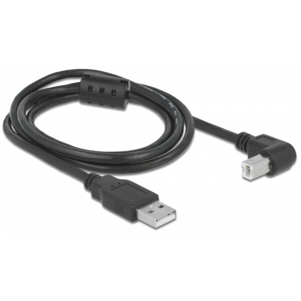 PegasusAstro USB kabelset 2x USB2.0 Type-B 1m