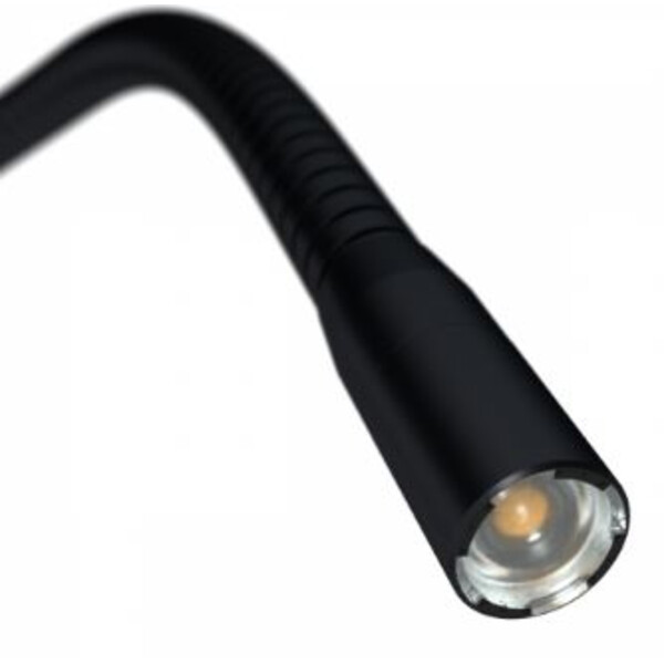 StarLight Opto-Electronics LED invallend licht IL11, Zwanenhals, 450 mm