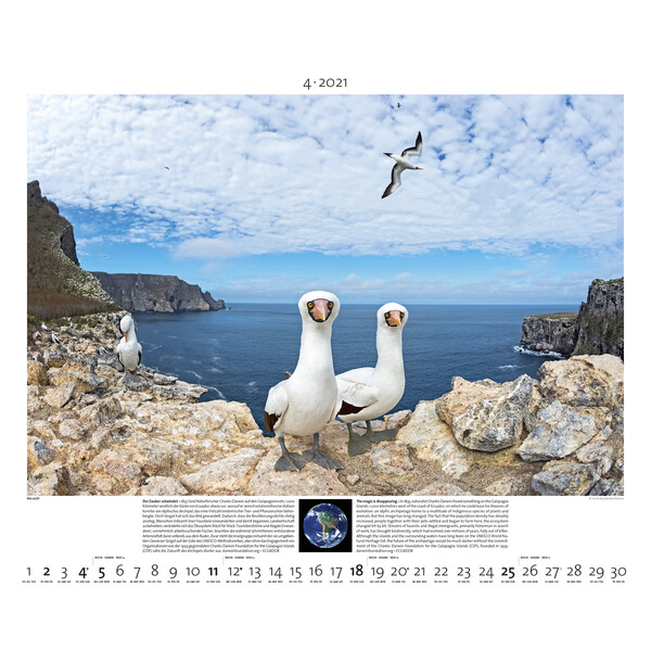 Palazzi Verlag Kalender Planet Earth 2021