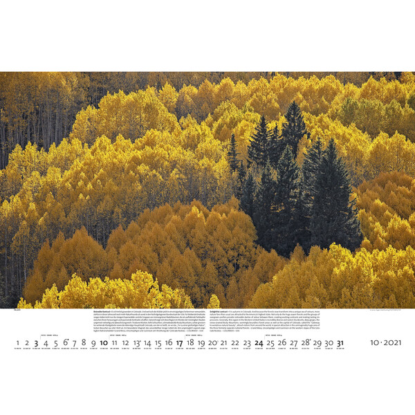 Palazzi Verlag Kalender Bossen der aarde 2021