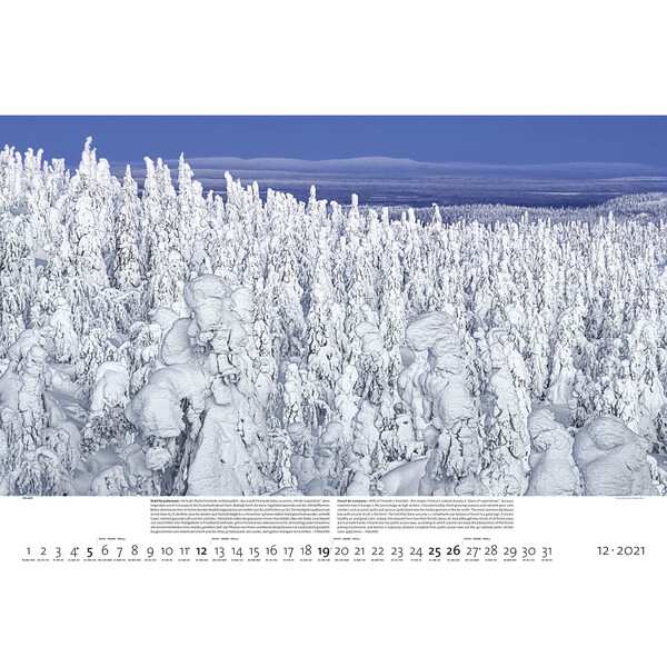 Palazzi Verlag Kalender Bossen der aarde 2021