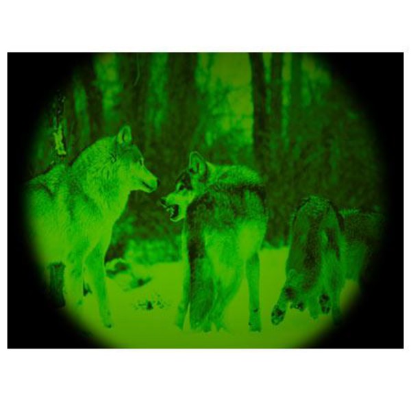 ATN Nachtkijker Night Storm-2IA 3.5x50, zwart