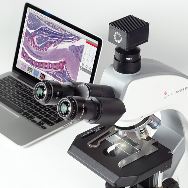 Motic Microscoop Panthera C2, Trinokular (Ohne 100X), infinity, plan, achro, 40x-400x, Halogen/LED