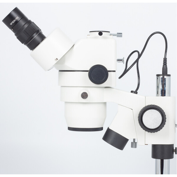 Motic Stereo zoom microscoop SMZ143-N2LED, trino, 10x/20, Al/Dl, 3W LED