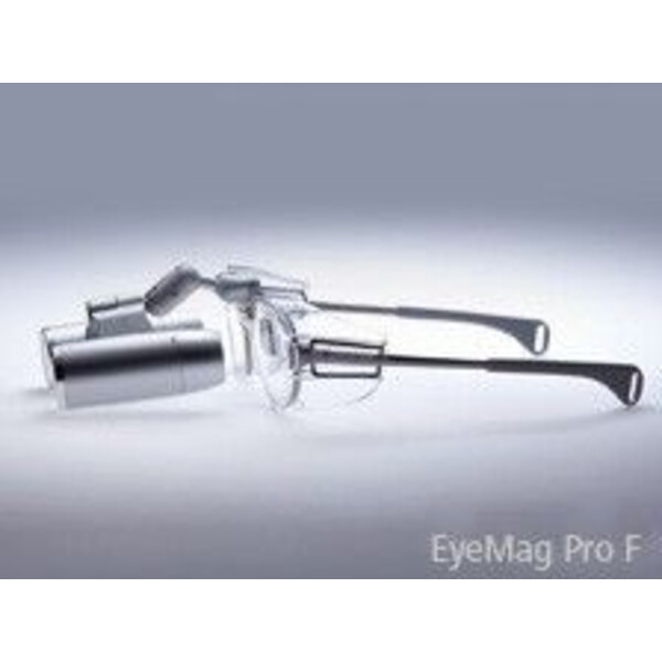 ZEISS Schildjes, paar, verpakt