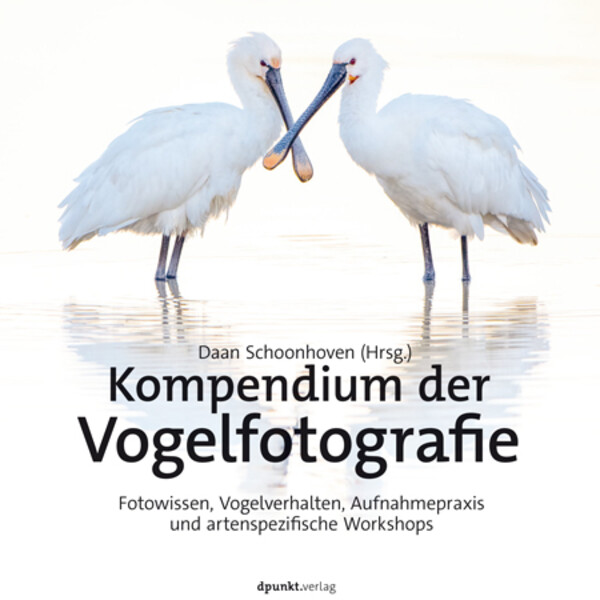 dpunkt Compendium van vogelfotografie